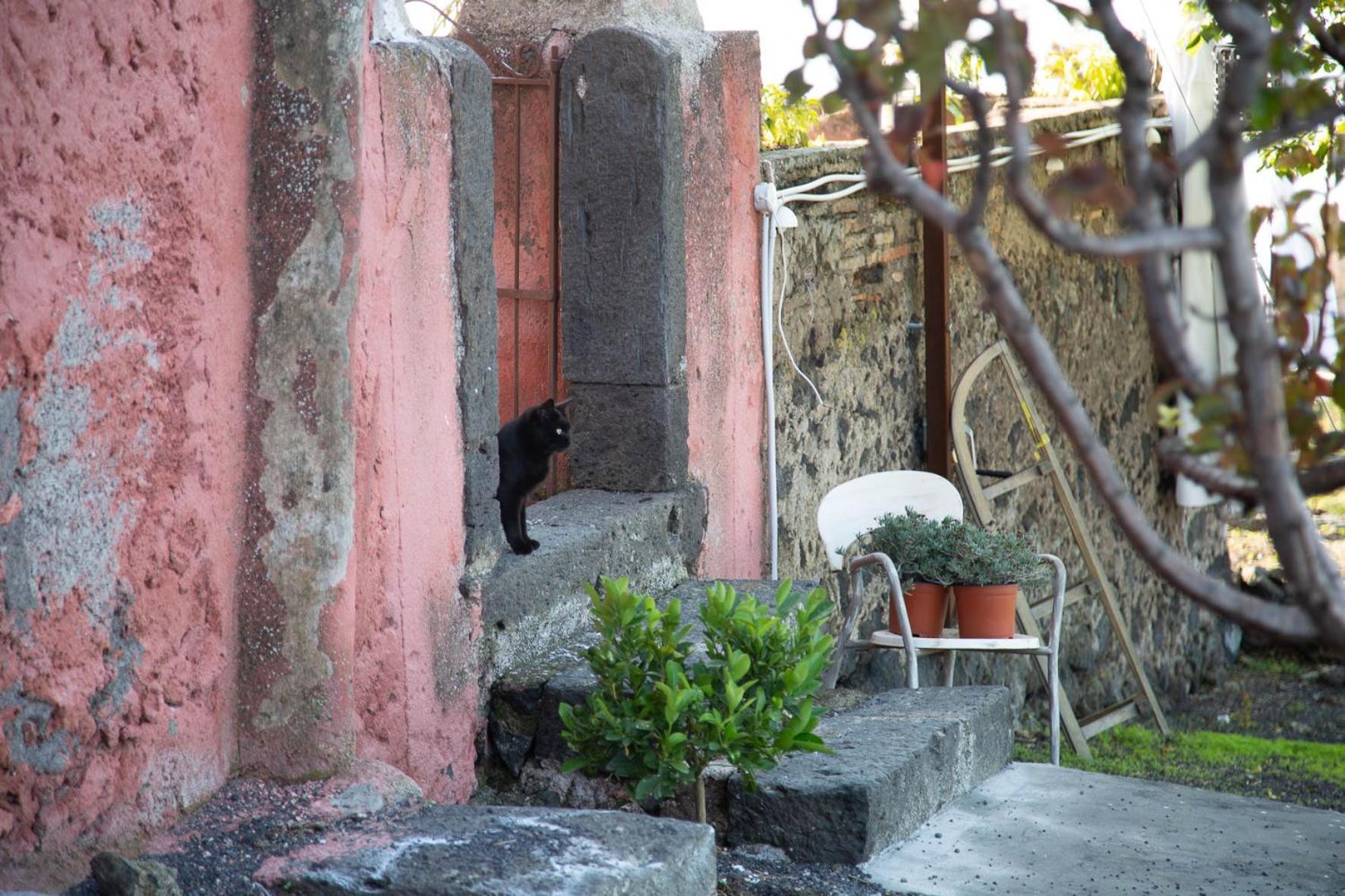 Podere Dell'Etna Segreta - Essential Nature Hotel & Glamping Biancavilla Exterior photo